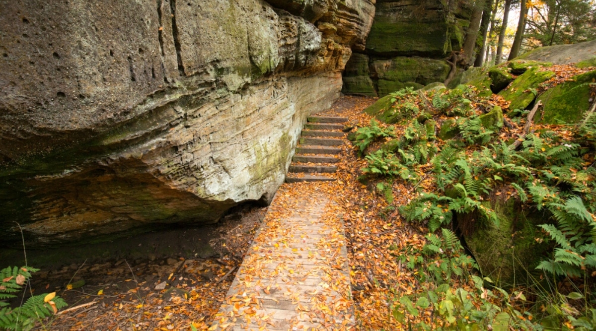 Stairs in sedimentary rock outcrop of the Ritchie Ledges, near a bat cave in Cuyahoga Valley National Park, Ohio. Orange dry leaves cover the soils of the forest and stone steps. Beautiful lush fern plants grow between stones.
