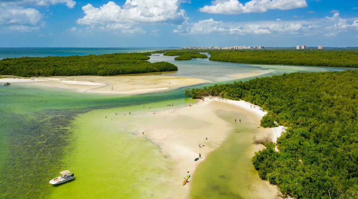 The Bonita Dog Beach, located in Bonita Springs, Florida, is a beach area where dogs are allowed to run, play, and swim. The beach has white sands, blue-green waters and green vegetation.