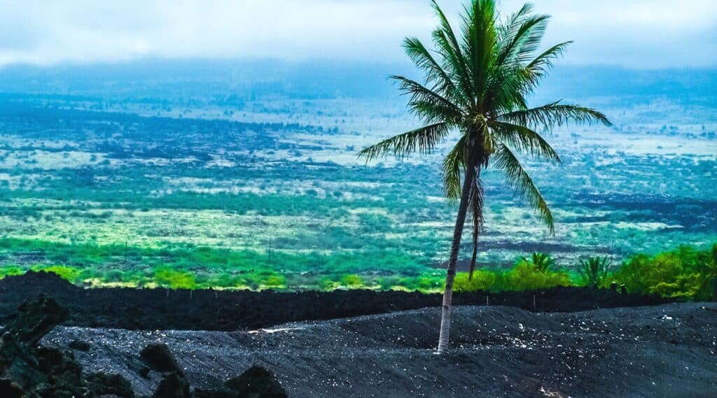 Keawaiki Beach is a secluded black sand beach located on the South Kohala coast of the Big Island of Hawaii. The beach is known for its beautiful and calm atmosphere, with crystal clear waters. The coastline is lined with palm trees providing shade and creating an idyllic tropical atmosphere.