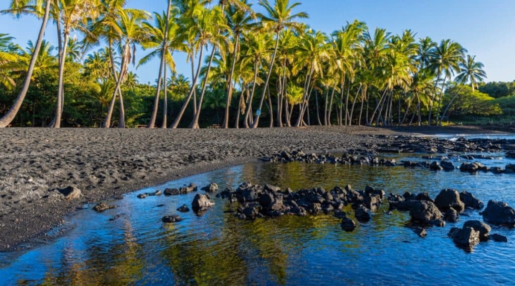 Punalu'u Beach is a black sand beach located on the southeastern coast of the Big Island of Hawaii. The beach is famous for its unique black sand, consisting of basaltic lava, and a large population of sea turtles. The beach is also surrounded by lush green vegetation and palm trees.