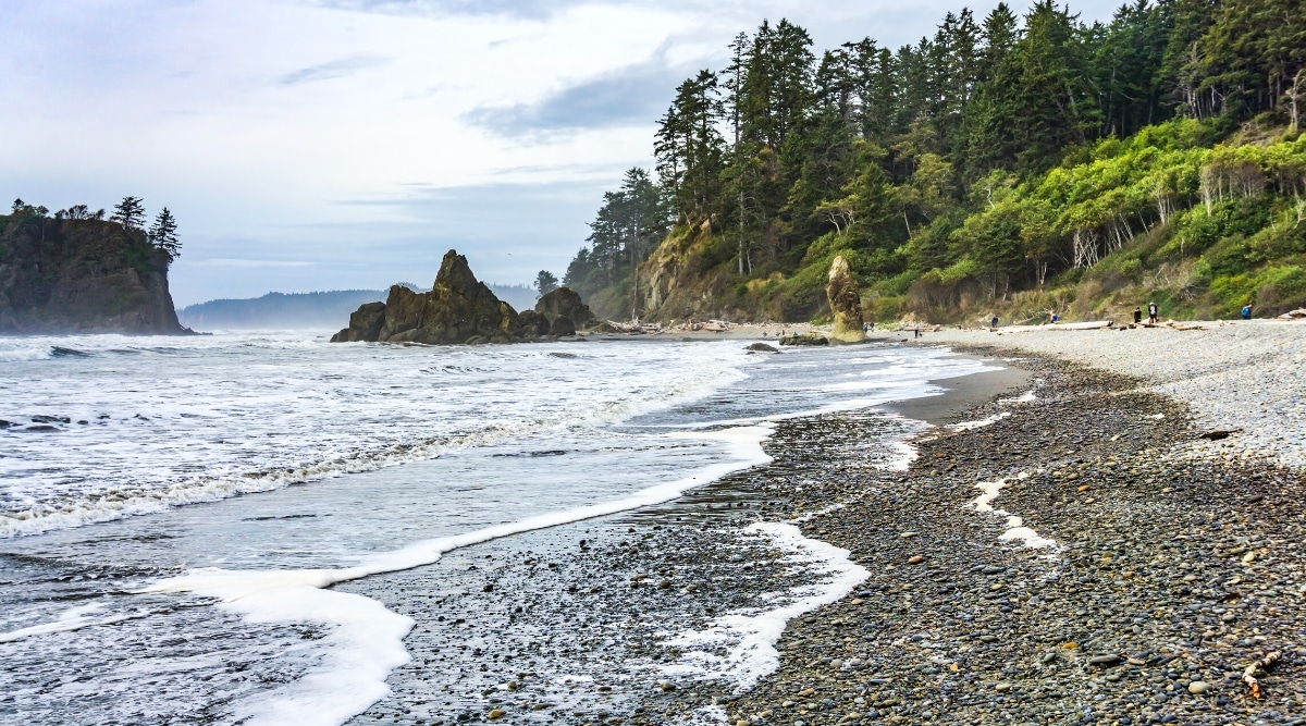 Ruby Beach is a picturesque beach located in Olympic National Park in Washington State, USA. The beach is known for its striking sea stacks, which are large rock formations that rise above the ocean. It also has an indented coastline and driftwood strewn across the beach.