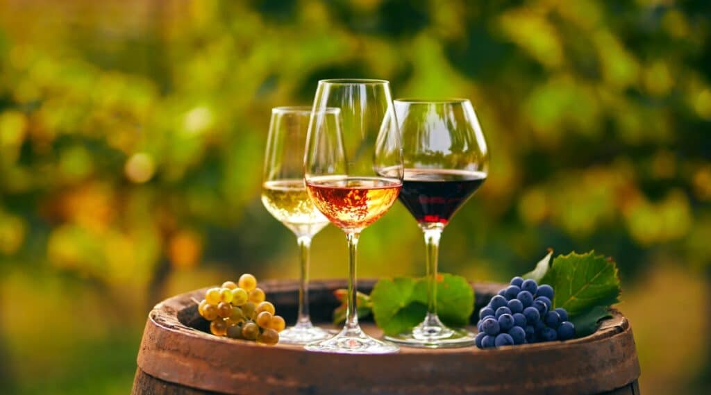 A trio of fine wines including a red, a rose, and a white wine from Napa Valley, surrounded by grapes and grape leaves on a barrel in a vineyard.