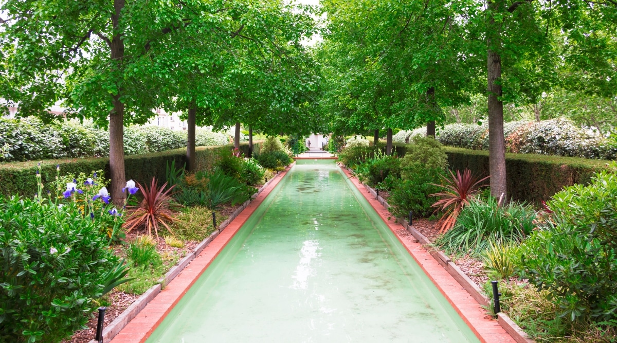 Raised pathways through gardens and ponds with rich greenery in La Coulee Verte, Paris France. 