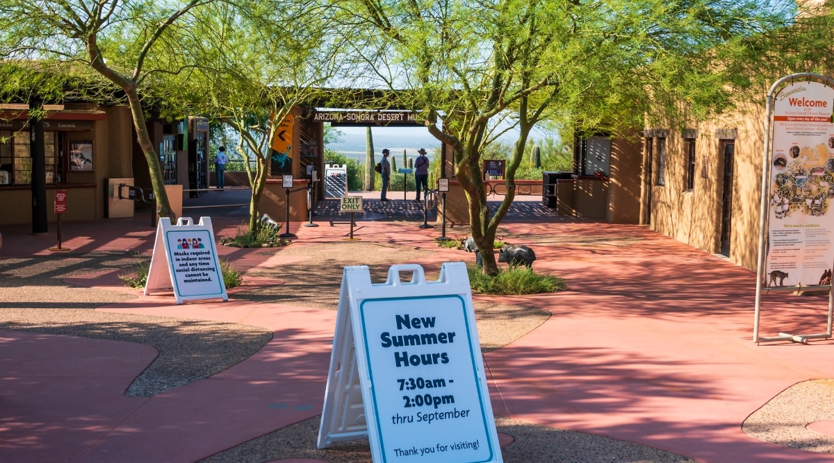 View of the entrance to the Arizona-Sonora Desert Museum. The building is located among a stunning Sonoran Desert landscape with many different native plants and cacti. There are several informative signs and trees in front of the building.
