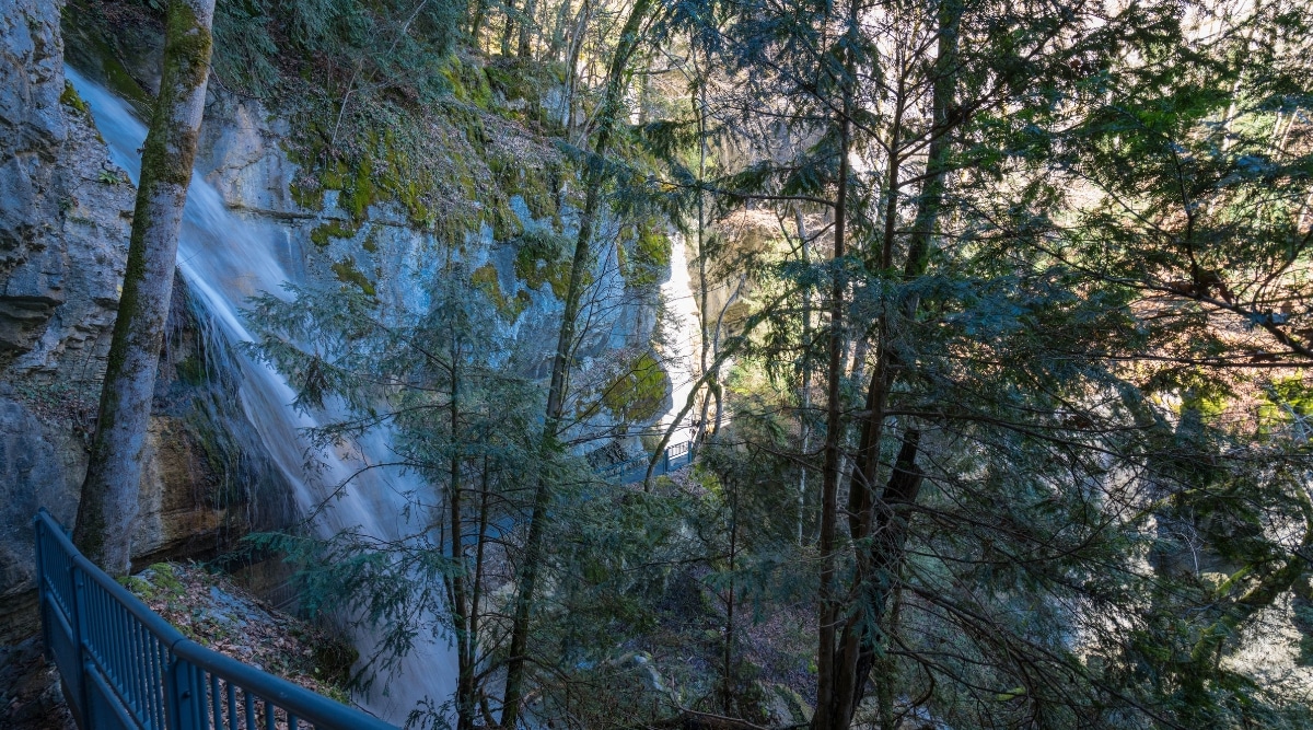 View through many trees and pine trees to the Cascade d'Angon.This is a stunning waterfall located in the French Alps, cascading down from rugged alpine mountains.