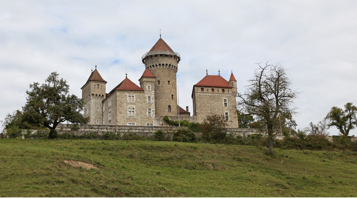Behold the Chateau de Montrottier, a historic castle situated in the French Alps. This castle boasts brown, triangular-shaped cascading roofs and white-facaded windows. It is perched on a small hill, surrounded by several trees.