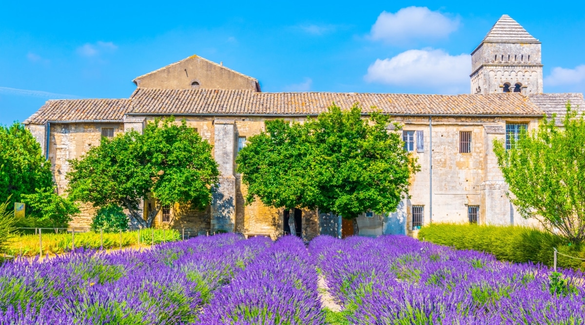 Scenic view of the historic monastery of Saint-Paul-de-Mausole, set among lush greenery, purple lavender plantations and ancient stone architecture.