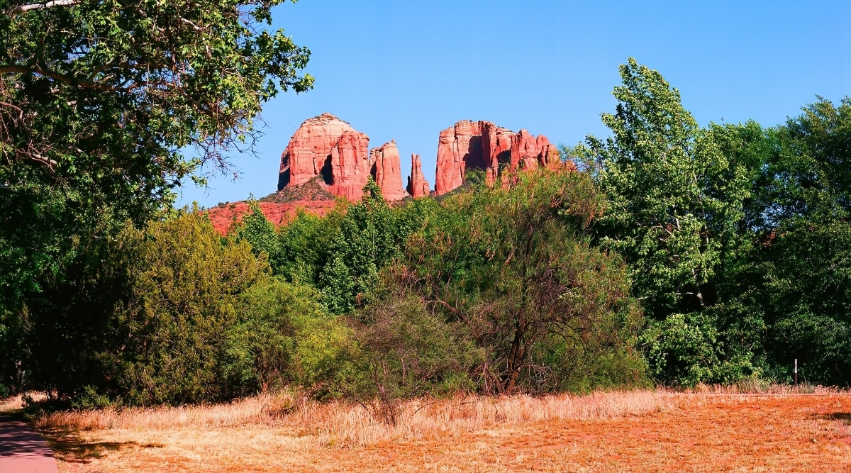 A mesmerizing photograph of Oak Creek Canyon. The image captures the stunning red rock formations. The image highlights the unique geological features of the canyon, showcasing the vibrant red rock walls and the contrast between the lush greenery and the arid desert landscape.
