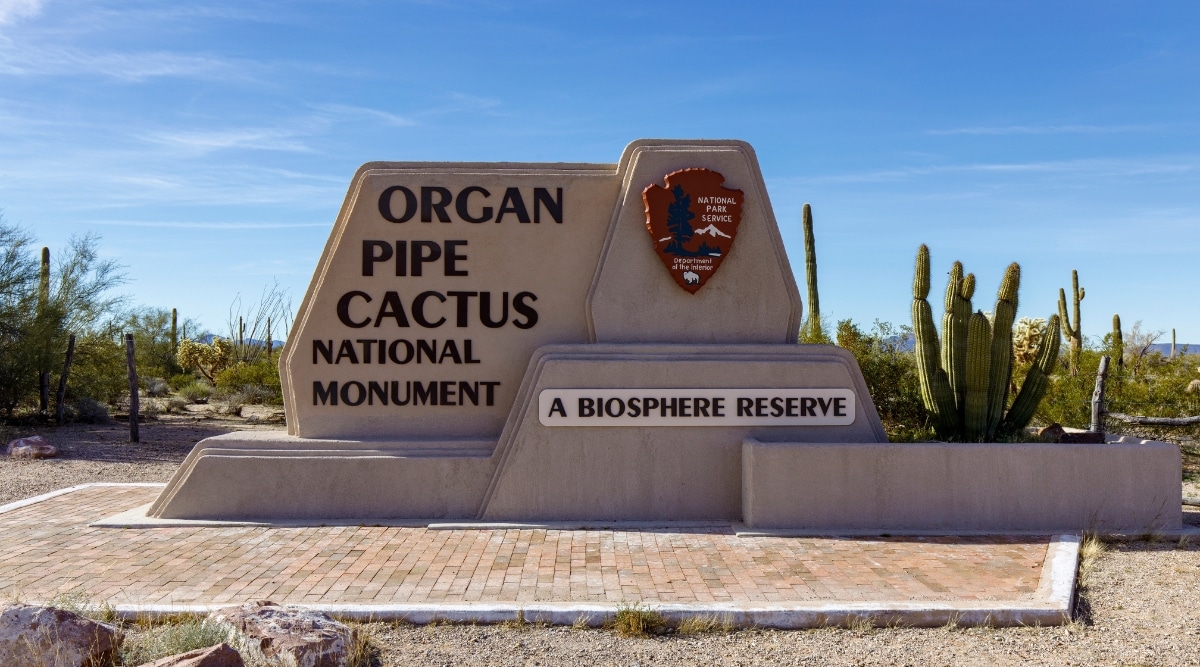 A breathtaking shot of the Organ Pipe Cactus National Monument in southern Arizona. The photo features a prominent sign at the park's entrance, proudly displaying the name "Organ Pipe Cactus National Monument." Alongside this sign, you'll find the iconic organ pipe cacti, with their numerous slender arms, set against the backdrop of a pristine, azure desert sky.