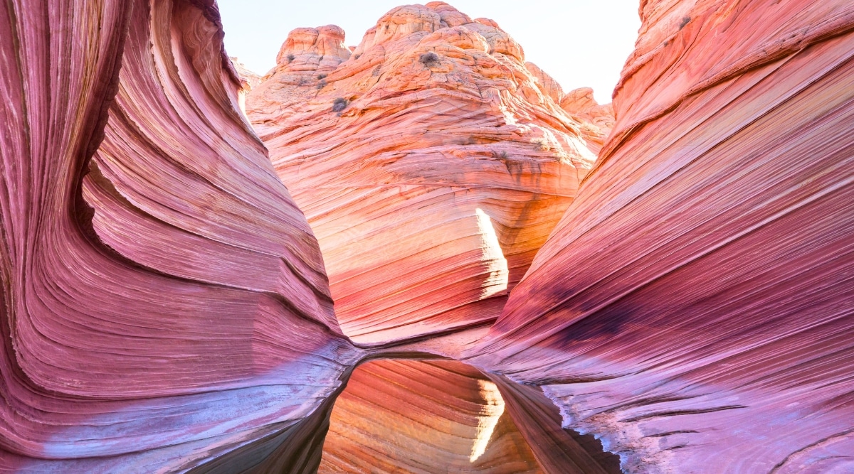 The image is Vermilion Cliffs. The cliffs, with their vibrant hues ranging from deep reds to rich oranges and subtle whites, create a mesmerizing and ever-changing landscape under the desert sun. In the foreground is a water channel.