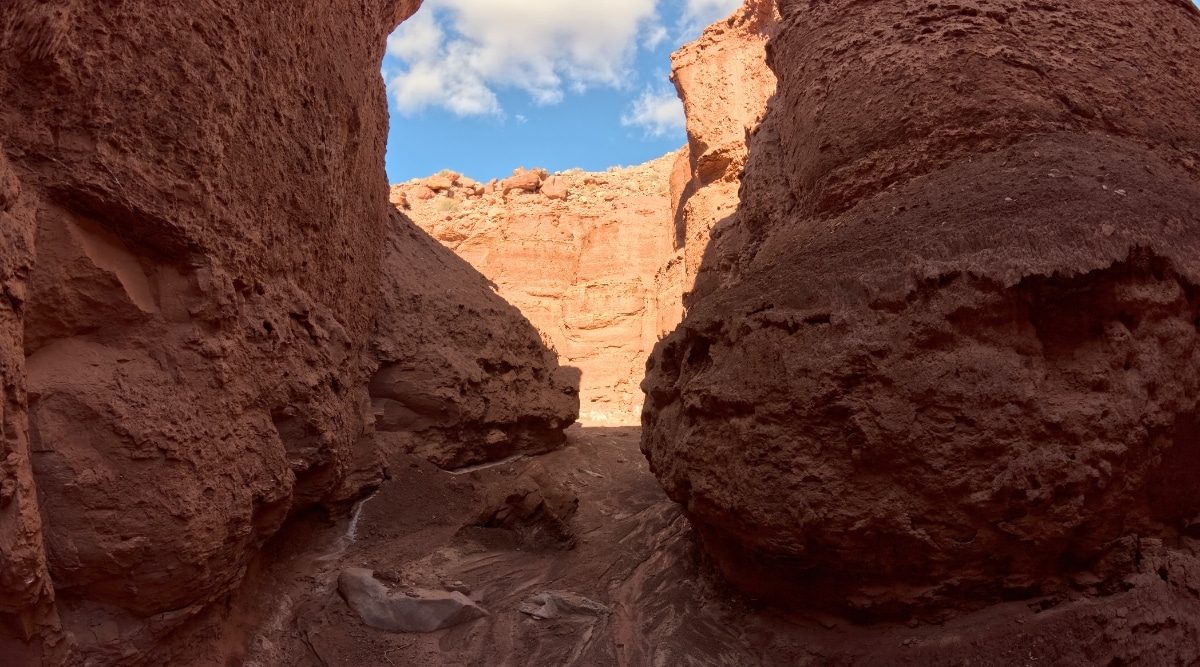 An extraordinary image capturing the stunning beauty of Paria Canyon. The photograph showcases the intricate and meandering canyons. Paria Canyon features a mesmerizing palette of red and orange sandstone.