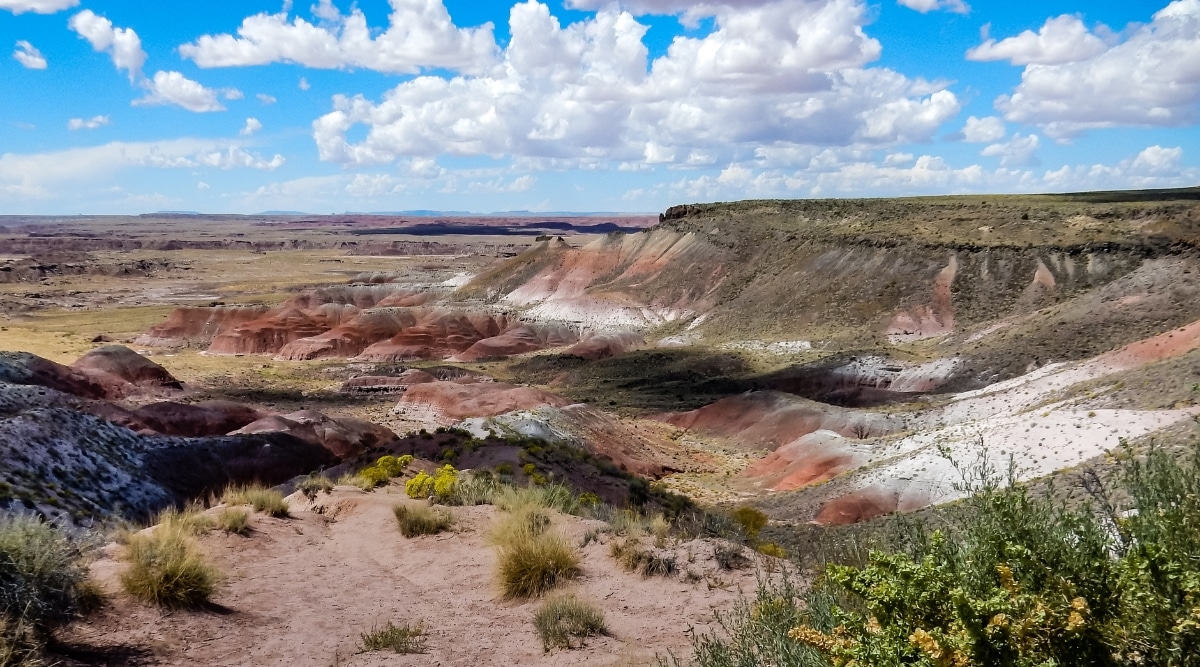 View of Petrified Forest National Park. Petrified Forest National Park is a mesmerizing desert expansion characterized by its unique, otherworldly landscape. The park is defined by vast, arid badlands and colorful mesas.