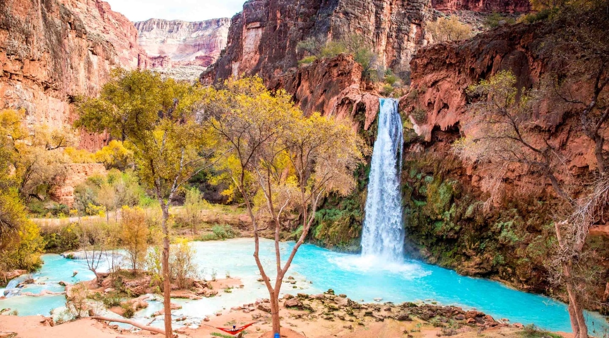 An awe-inspiring image of Havasu Falls.The image captures the brilliant turquoise waters of the falls cascading down vivid red rock formations, creating a mesmerizing contrast of colors and shapes. The lush, green foliage surrounding the falls and the towering cliffs provide a breathtaking backdrop to this pristine desert oasis.