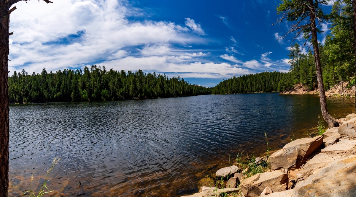 A photograph showcasing Bear Canyon Lake in Arizona. The image captures the lake's serene waters surrounded by pine-covered hills and a sparse shoreline. 