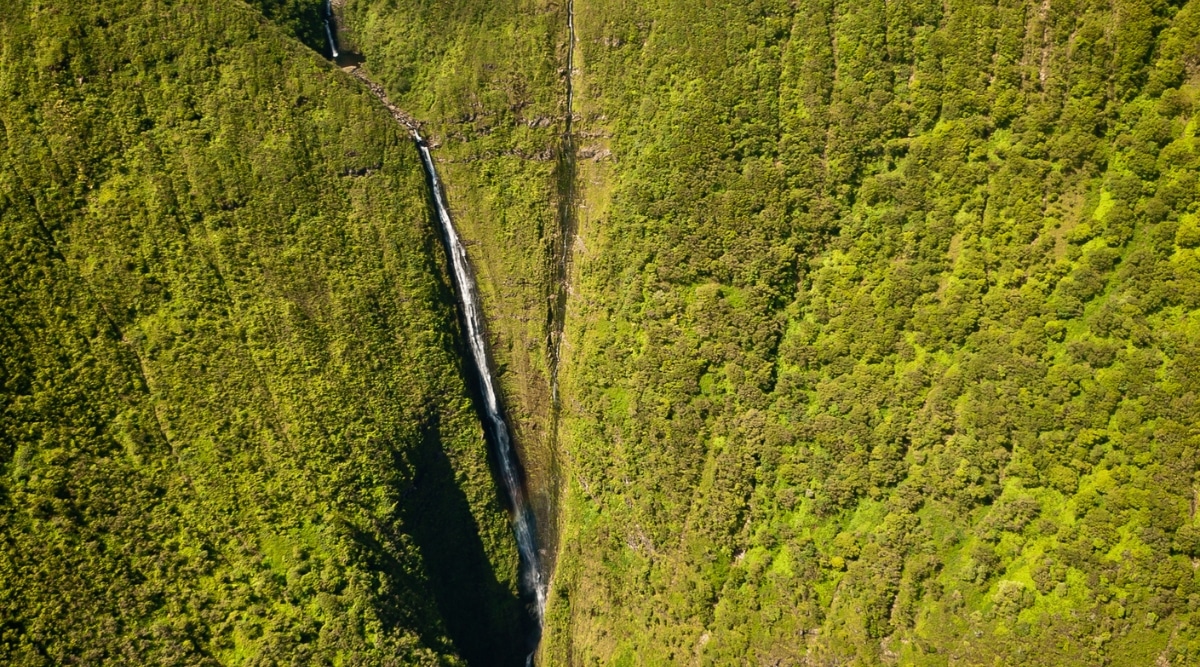 A photograph featuring Kahiwa Falls in Hawaii. The image captures the waterfall amidst a lush tropical landscape. The falls cascade down a series of rocky tiers, surrounded by dense vegetation. The natural surroundings are characterized by the vibrant greenery of the Hawaiian foliage. 