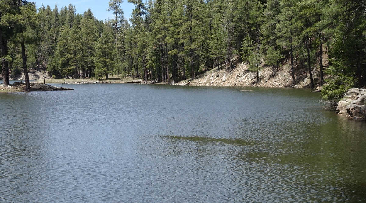 A photograph depicting Knoll Lake in Arizona. The image captures the lake's natural setting, surrounded by forested terrain. The shoreline is framed by pine trees.