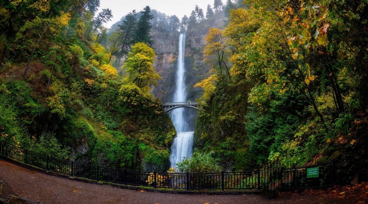 A photograph featuring Multnomah Falls in Oregon. The image captures the iconic two-tiered waterfall against a lush, forested backdrop. The water cascades gracefully.