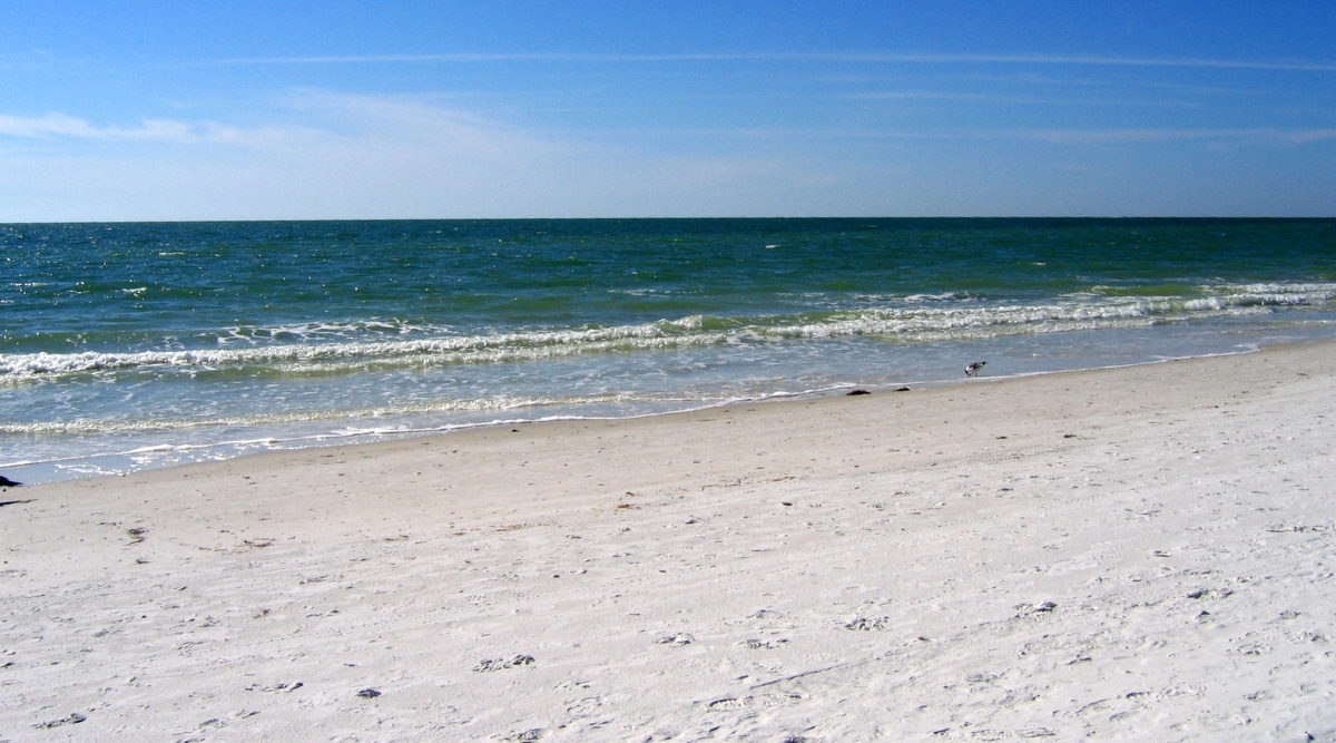 Beach in Florida.