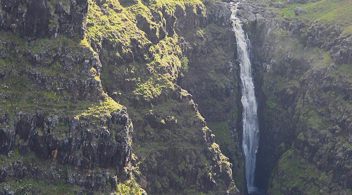 A photograph depicting Olo’upena Falls in Hawaii. The image waterfall's descent against the lush green backdrop of the Hawaiian landscape. The rocky terrain and dense vegetation contribute to the scene's overall composition.