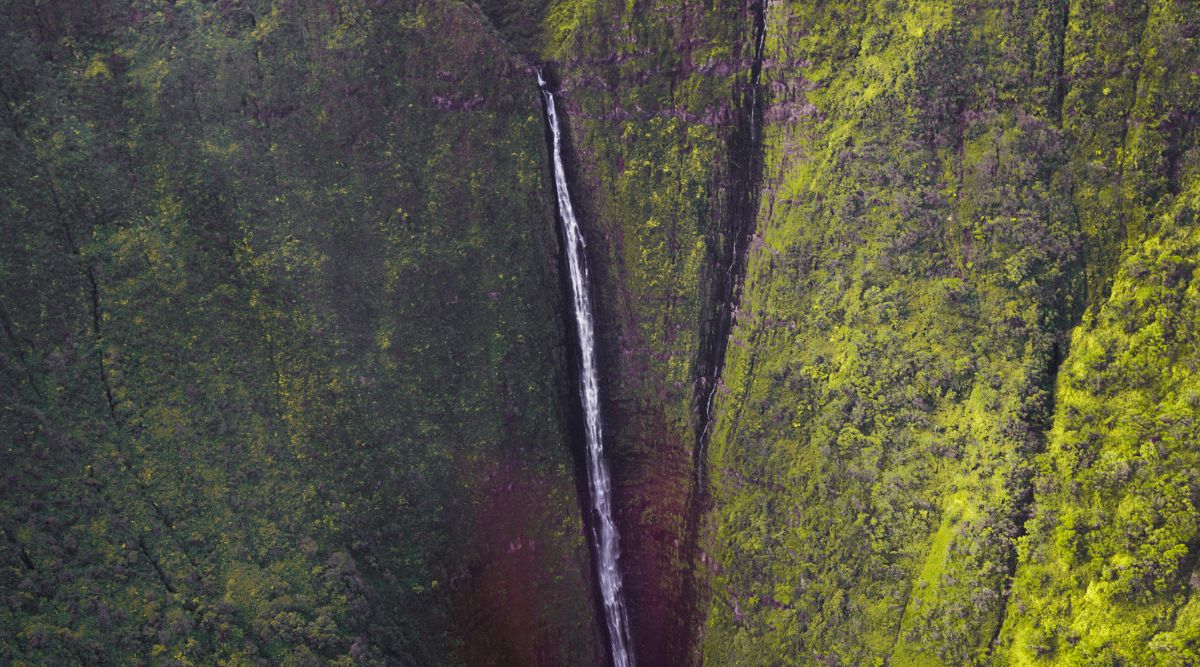 A photograph showcasing Pu’uka’oku Falls in Hawaii. The image captures the waterfall amidst lush green surroundings, with cascading water flowing down the rugged cliffs. The falls represent one of the tallest sea cliffs and waterfalls globally. The natural scenery includes the rocky terrain and dense foliage typical of the Hawaiian landscape.