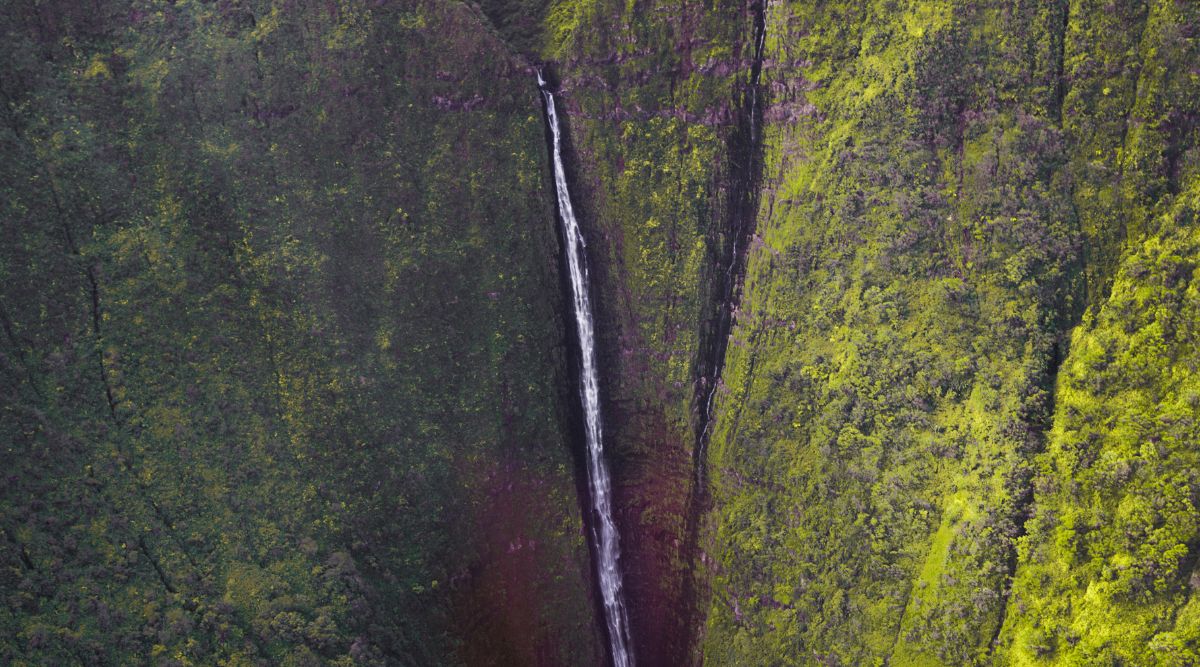 A photograph showcasing Pu’uka’oku Falls in Hawaii. The image captures the waterfall amidst lush green surroundings, with cascading water flowing down the rugged cliffs. The falls represent one of the tallest sea cliffs and waterfalls globally. The natural scenery includes the rocky terrain and dense foliage typical of the Hawaiian landscape.