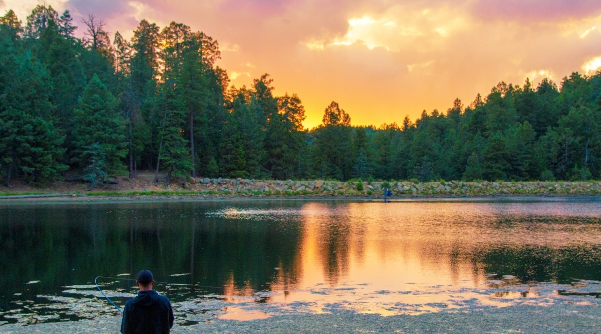  A photograph showcasing Riggs Flat Lake in Arizona. The image depicts a serene lake surrounded by wooded areas. The lake surface appears calm, reflecting the surrounding landscape.A guy is out there fishing by the shore.