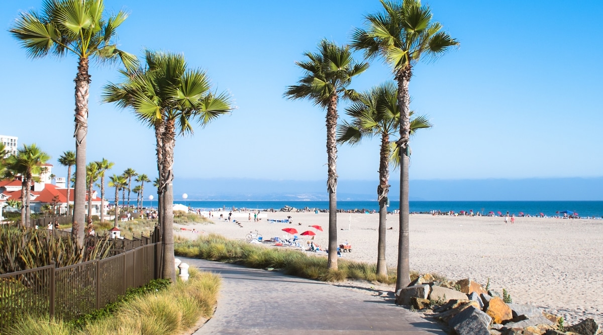 A sunny view of the sidewalk along Coronado Beach lined with Palm trees and crowds of beach goers on the sand in the distance.  
