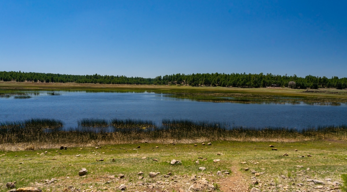 A photograph displaying Upper Lake Mary in Arizona. The image captures the lake surrounded by arid terrain, featuring a serene expanse of water. 