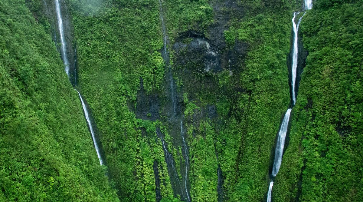 A photograph depicting Waihilau Falls in Hawaii. The image captures the waterfall cascading down a lush, verdant cliff face surrounded by dense foliage. 