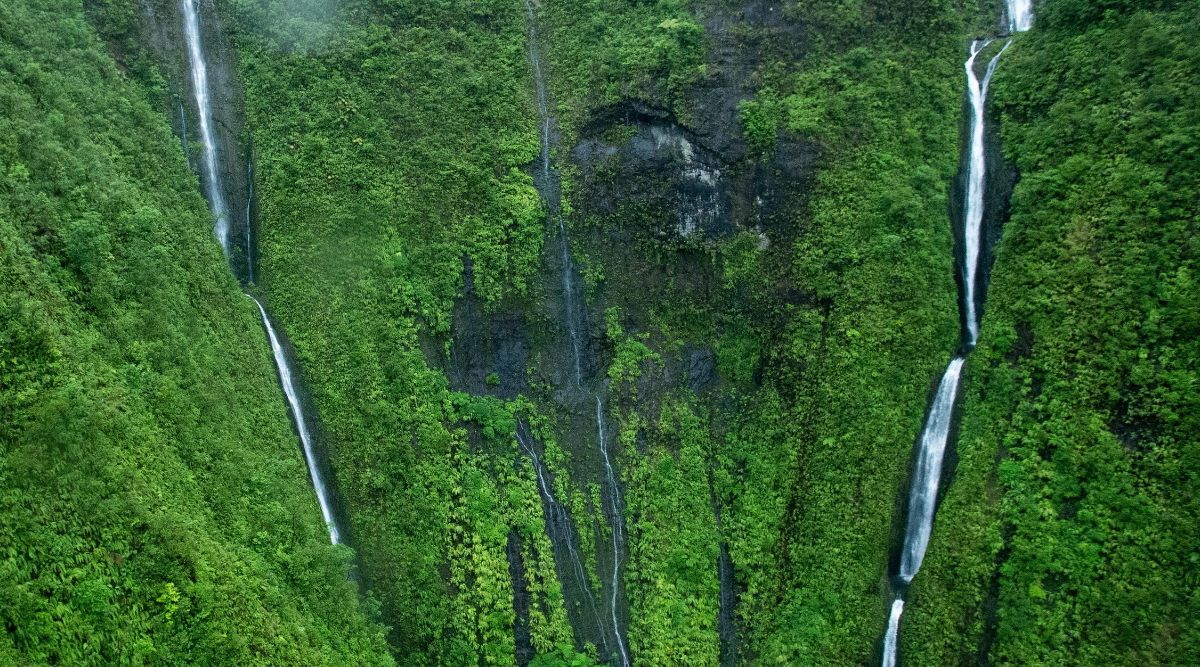 A photograph depicting Waihilau Falls in Hawaii. The image captures the waterfall cascading down a lush, verdant cliff face surrounded by dense foliage.