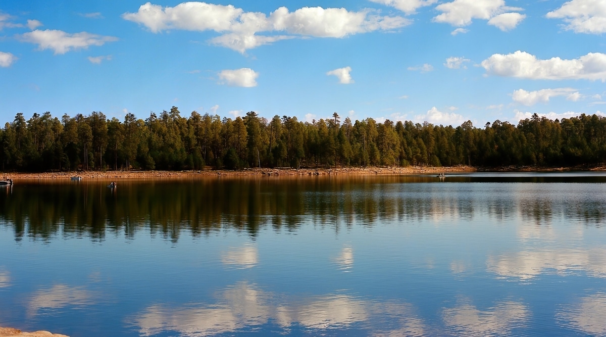 A photograph depicting Woods Canyon Lake in Arizona. The image captures the lake's surroundings, featuring calm waters framed by forested areas. The lake is encircled by a mix of coniferous and deciduous trees. 