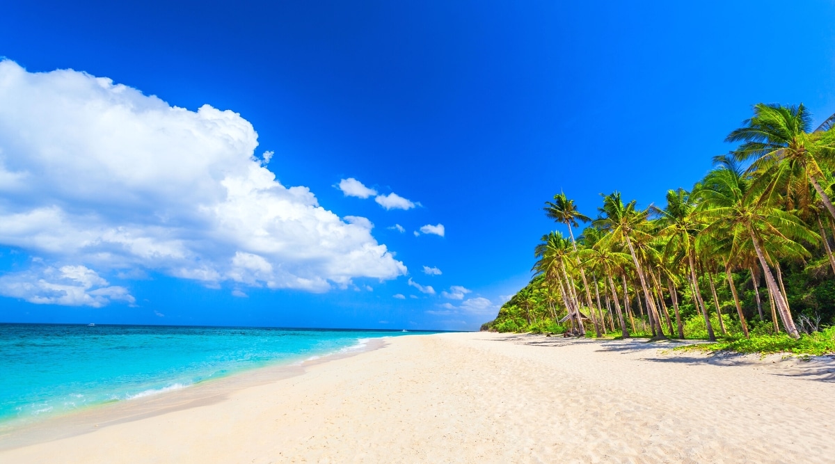 A serene photograph depicting a beach in Boracay, Philippines. The image features palm trees lining the coastline against a backdrop of a clear blue sky with fine clouds. The absence of people contributes to a tranquil scene. The turquoise sea complements the idyllic ambiance of the beach.