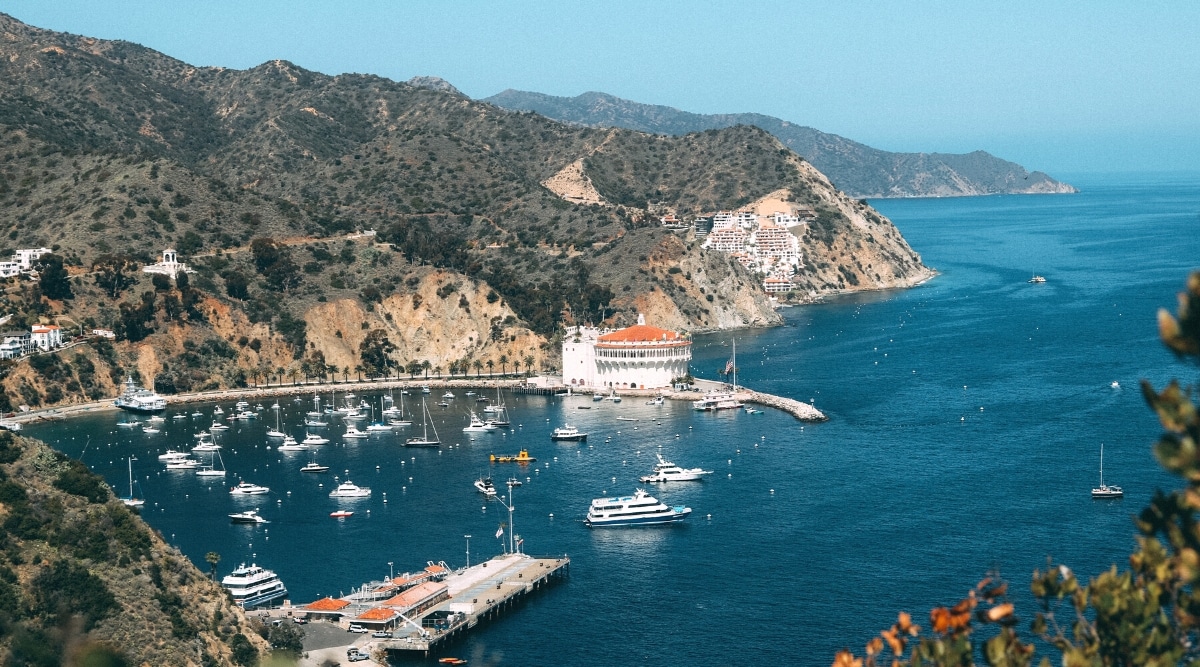 An aerial photograph capturing Catalina Island's topography, characterized by numerous mountains and hills. The image features a pier with an array of boats and ships docked. 