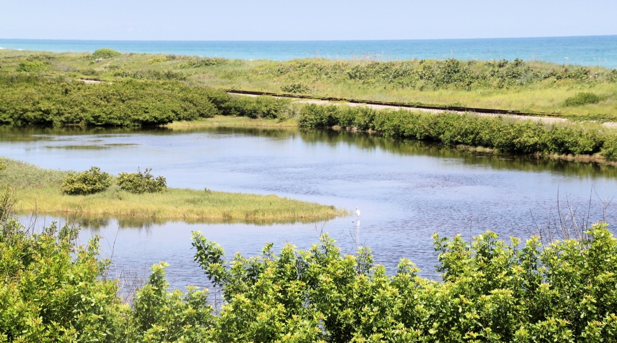 The photograph presents an aerial view of the Everglades in Florida, featuring extensive greenery and a winding river. The landscape depicts the characteristic subtropical wilderness of the region, with a network of vegetation and waterways.