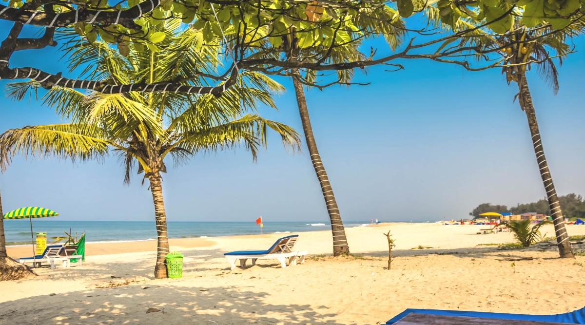 A serene view capturing a section of Goa beach, India. The image features a sandy shoreline bordered by palm trees and a few sun loungers. In the background, the expansive view extends to the ocean.The photograph offers a straightforward depiction of the natural elements, showcasing the sandy beach, palm trees, and minimalistic beach amenities.
