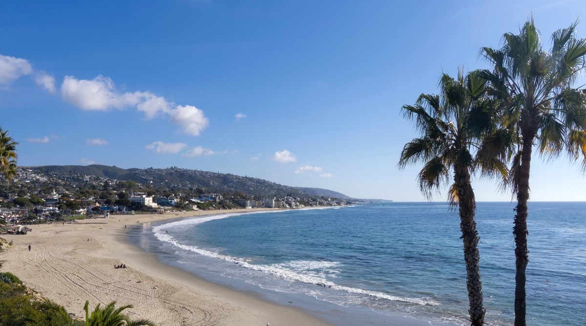 A view of Laguna Beach captured in this image. The foreground features several close-up palm trees, contributing to the coastal ambiance. Beyond the palm trees, the scene extends to showcase the ocean and beach. In the background, the cityscape and hills become visible.