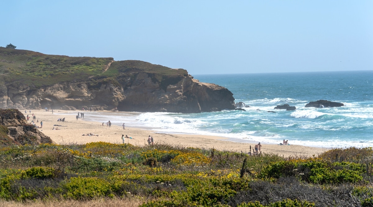 A view of Montara Beach in Half Moon Bay, depicting people along the shoreline against the backdrop of the Pacific Ocean. The image captures the rhythmic waves, hills in the distance, and a clear sky overhead. Individuals can be observed engaging in beach-related activities.