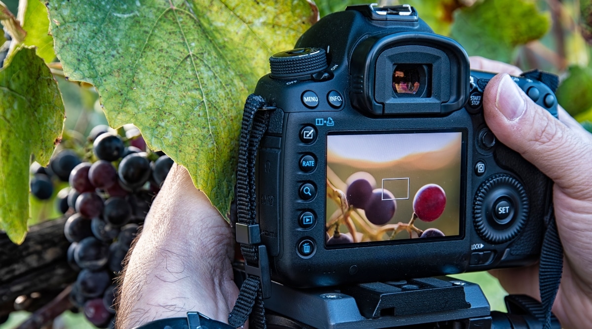 A close-up photograph featuring hands holding a camera, capturing detailed images of grapes. The image portrays the meticulous process of photographing grapes at close range.