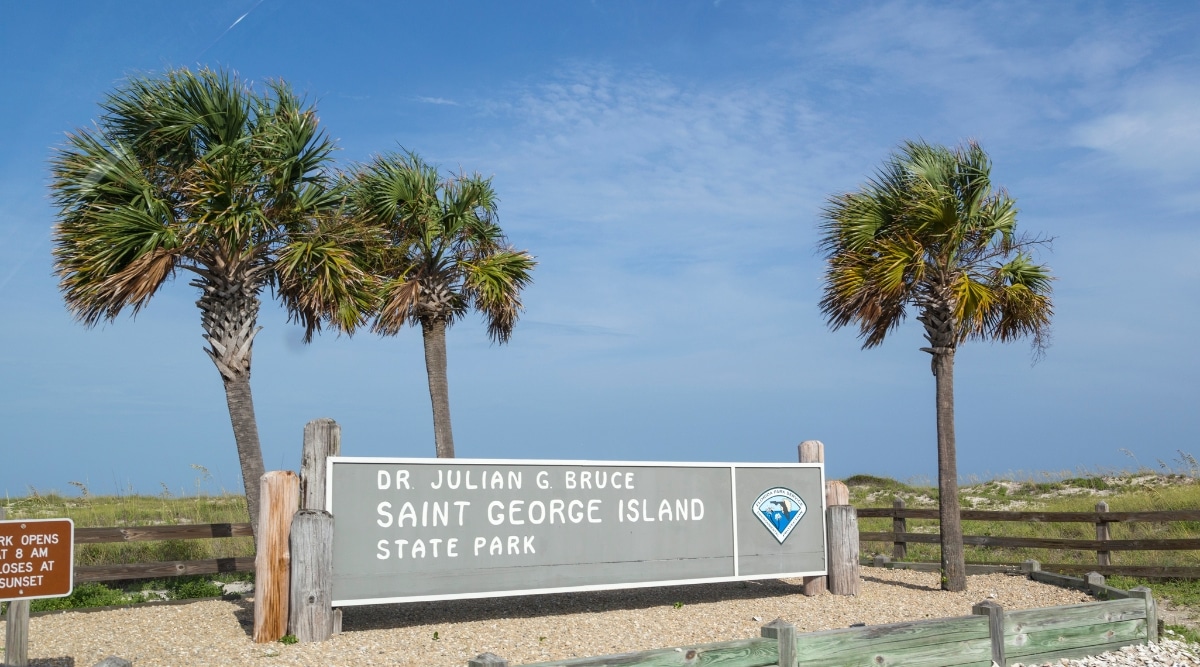 A direct view of the wooden sign for St. George Island State Park, Florida, featuring the park's logo. The sign is positioned against a backdrop of three palm trees and a nearby fence. 