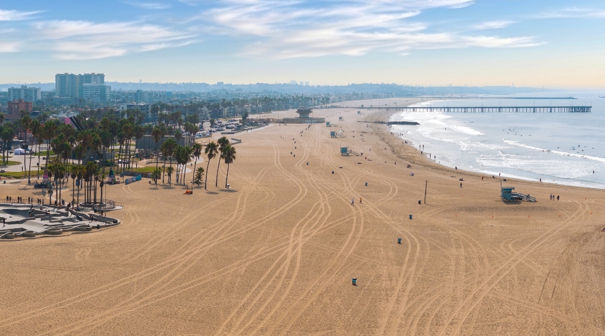A top view capturing the wide expanse of Venice Beach in Venice. The beach features a broad coastline with a multitude of palm trees lining the left side, adjacent to the cityscape. On the right, the ocean extends with piers visible in the distance. The image depicts minimal human presence on the beach, and no boats are apparent in the ocean.