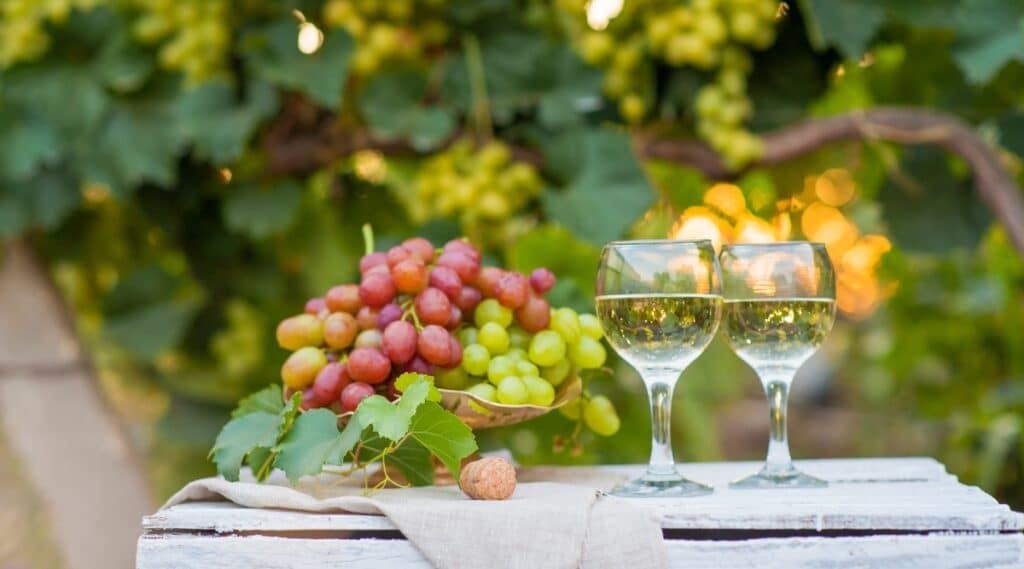 A straightforward photograph featuring two glasses of white wine positioned on a wooden table. Adjacent to the glasses, a vase containing grapes serves as a simple decorative element. In the background, grape bushes are visible, contributing to the overall context of the scene.