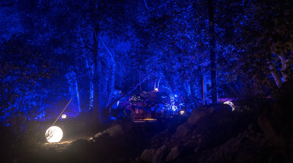 A photograph capturing the Illuminations at the Enchanted Forest Astra Lumina in Los Angeles. The image showcases the nighttime spectacle featuring illuminated and ambient lighting within the enchanting forest setting.