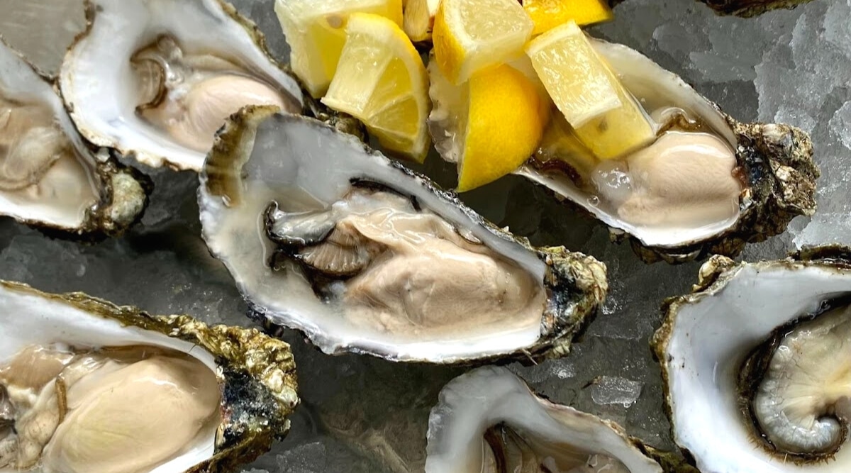 A close-up view capturing many opened oysters arranged on a bed of ice. Lemon slices are positioned nearby as a customary accompaniment. 
