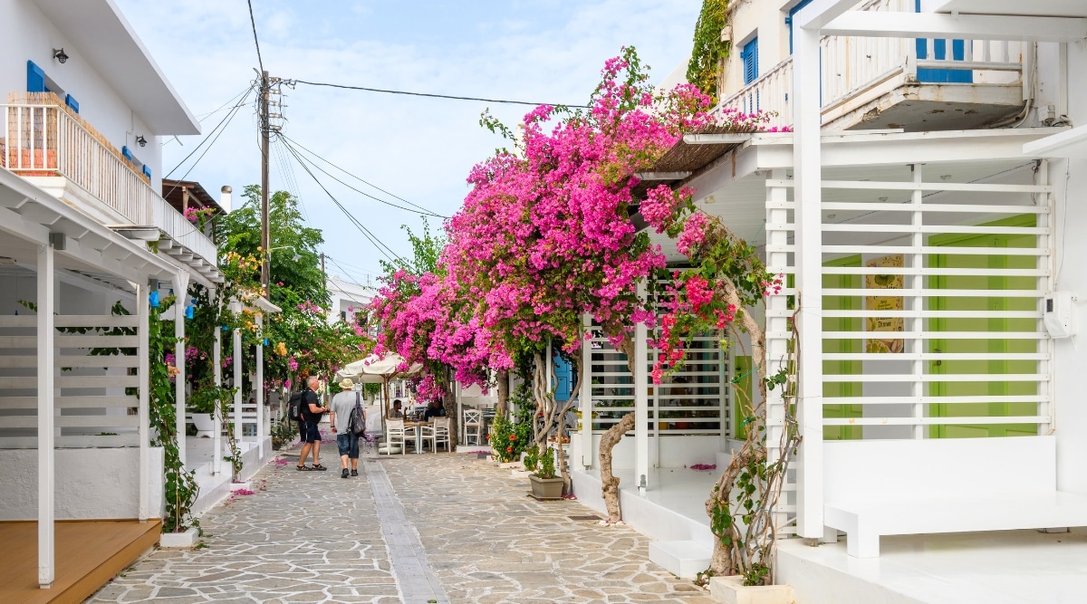 A photograph capturing a street scene in Antiparos, Greece, featuring traditional Greek architecture typical of the Cyclades islands. The image showcases the characteristic white-washed buildings with blue accents against a clear sky.