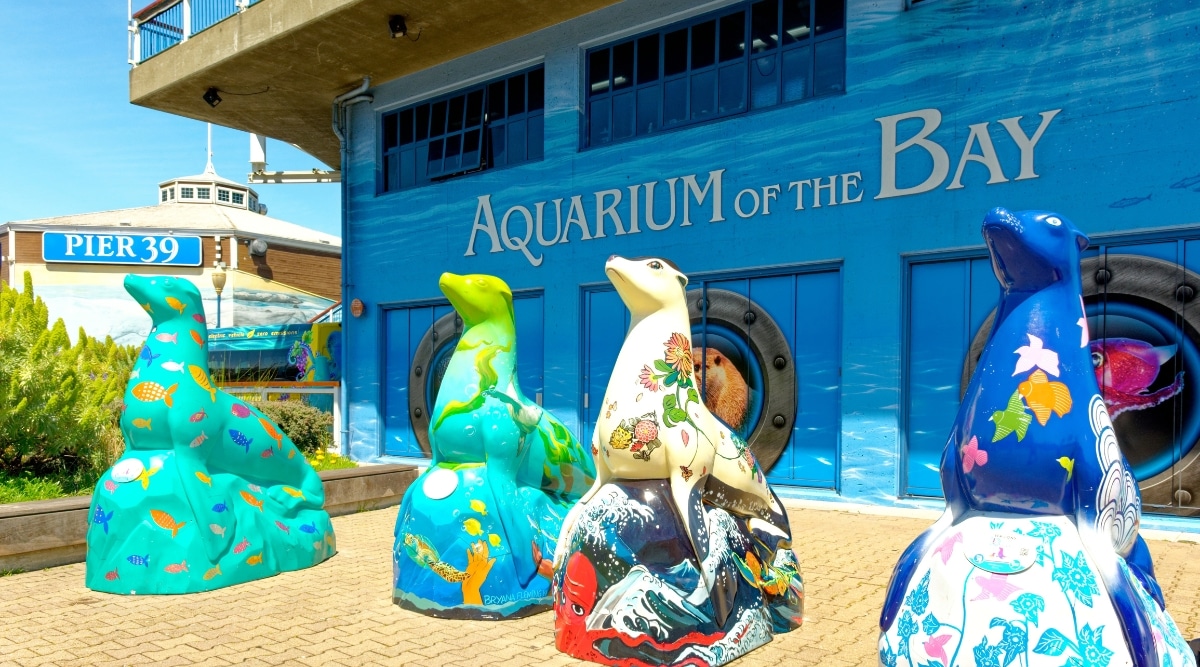 Four vibrantly colored seal statues outside the Aquarium of the Bay on Pier 39, Fishermans Wharf, San Francisco.