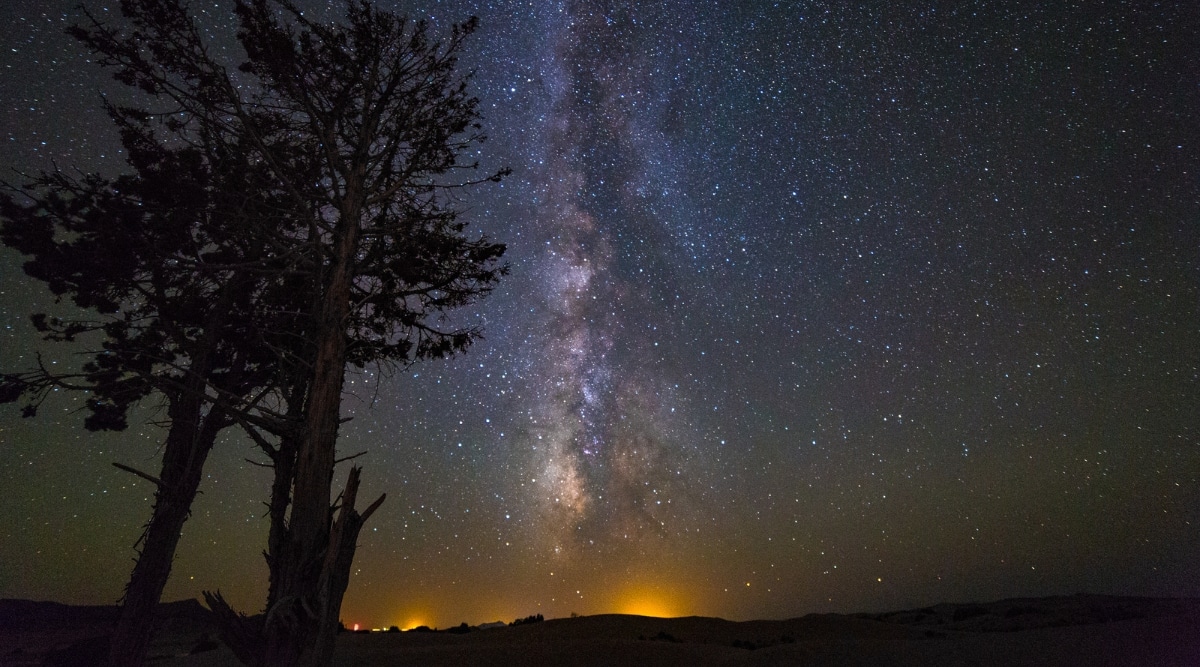 A photograph capturing a night sky filled with stars, featuring several trees in the foreground. The image showcases the celestial landscape with a clear view of the starry expanse. The trees serve as silhouetted elements against the dark backdrop, enhancing the composition.