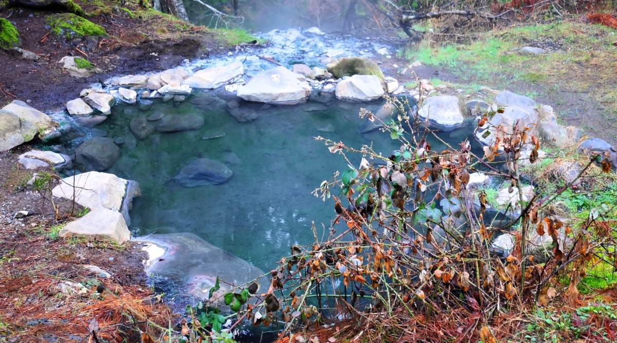 A close-up photograph providing a detailed view of Olympic Hot Springs in Washington.