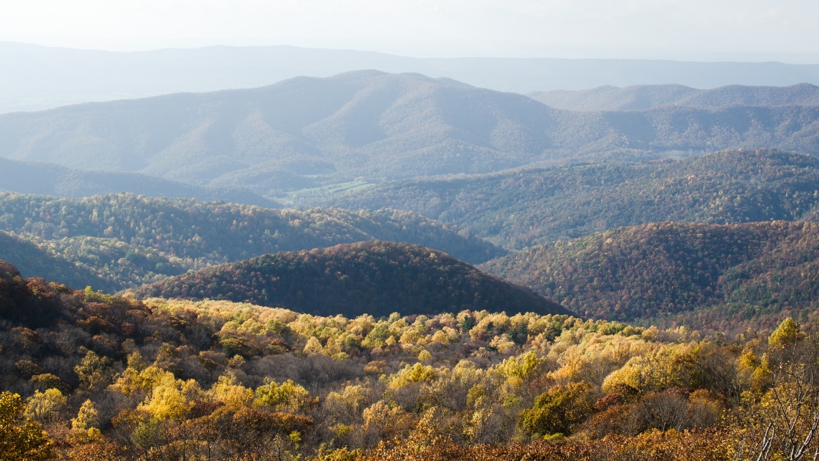 A photograph capturing the view of Skyline Drive from Bearfence Mountain in Shenandoah National Park, Virginia.