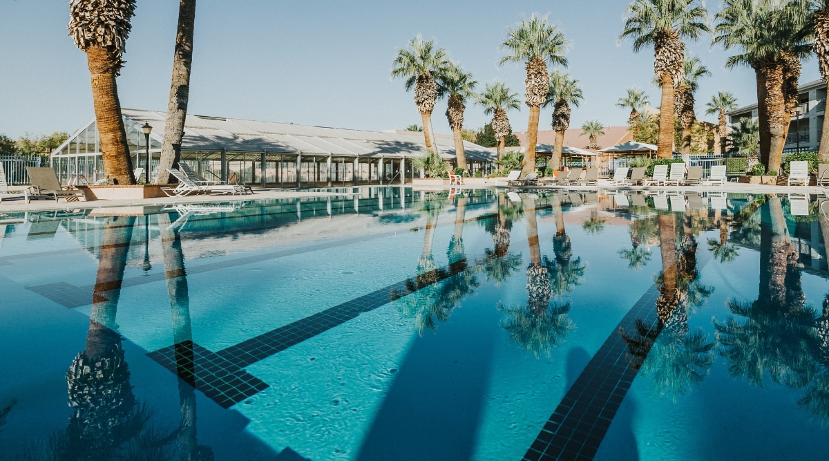 The image displays a spacious pool area surrounded by palm trees, accompanied by white sun loungers positioned around the pool.