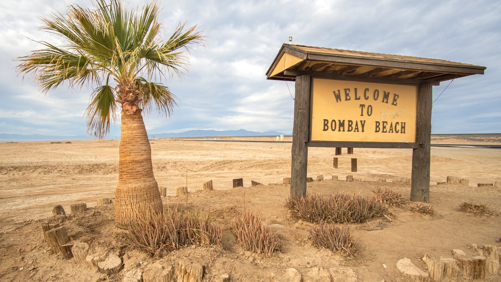 A photograph featuring a stella with a visor displaying the inscription 'Welcome to Bombay Beach' against a yellow background. In the vicinity, a small palm tree is visible with arid terrain in the background. The sky is overcast with clouds, providing a subdued atmospheric backdrop.